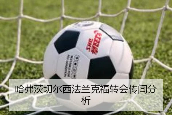 哈弗茨切尔西法兰克福转会传闻分析